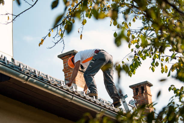 Quick and Trustworthy Emergency Roof Repair Services in Genesee, CO